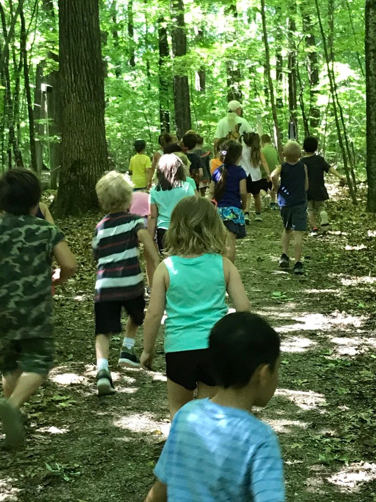 students on nature walk through forest
