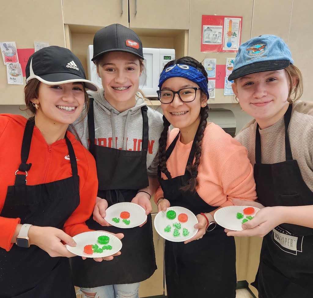 Live Feed Brillion Public Schools