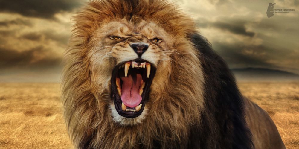 The ROAR
